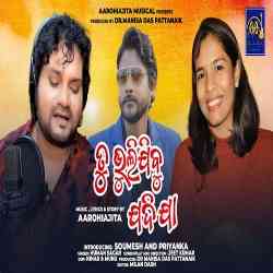 Tu Bhulijibu Jadi Jaa